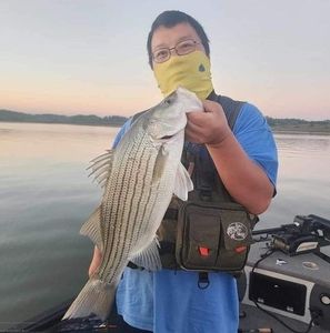 Meet your Posher, Kue